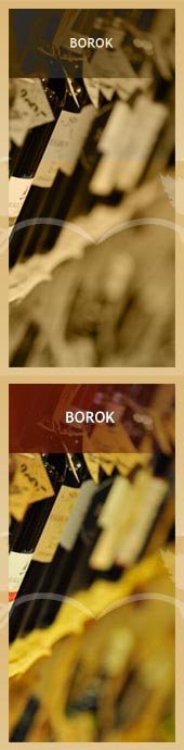 Colour WineWorld borszak�zlet, borbolt, borkeresked�s - Borok