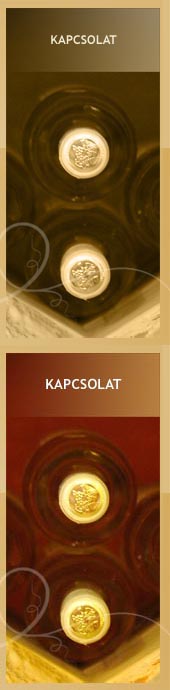 Colour WineWorld borszak�zlet, borbolt, borkeresked�s - Kapcsolat