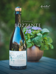 Fölföldi Béla - Bozzante - bodzás habzóbor | Colour WineWorld Kft.